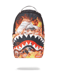 FIRE MONEY SHARK