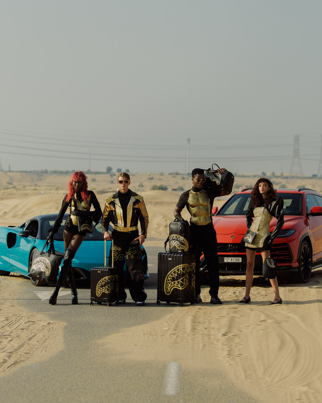 GOLD FANG FULL-SIZE LUGGAGE