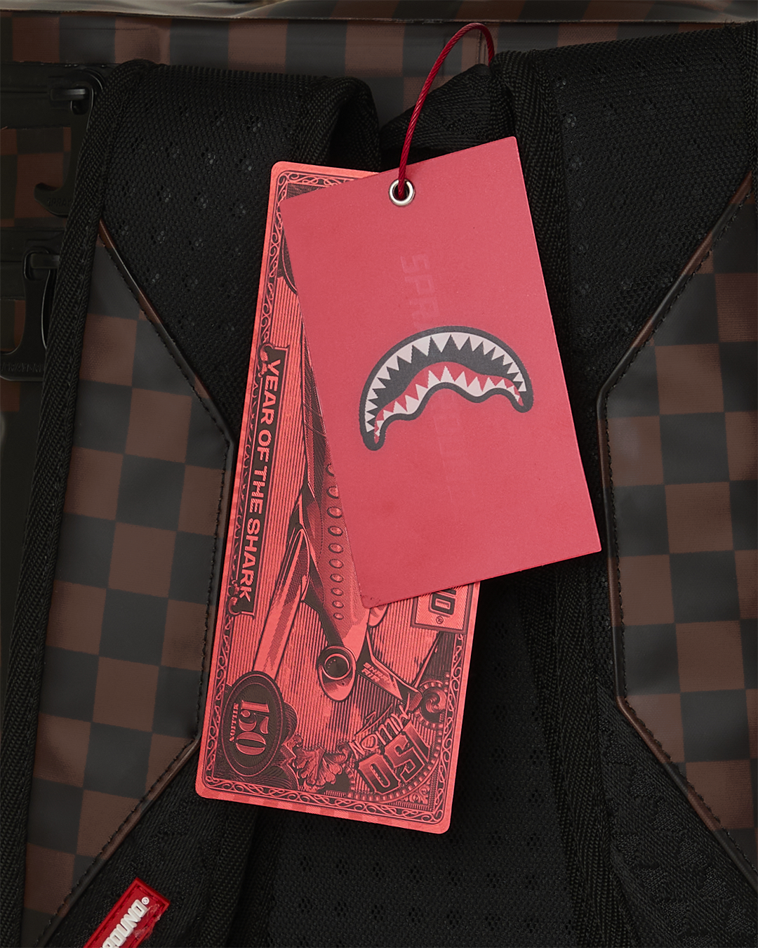 SHARK COOLER BACKPACK